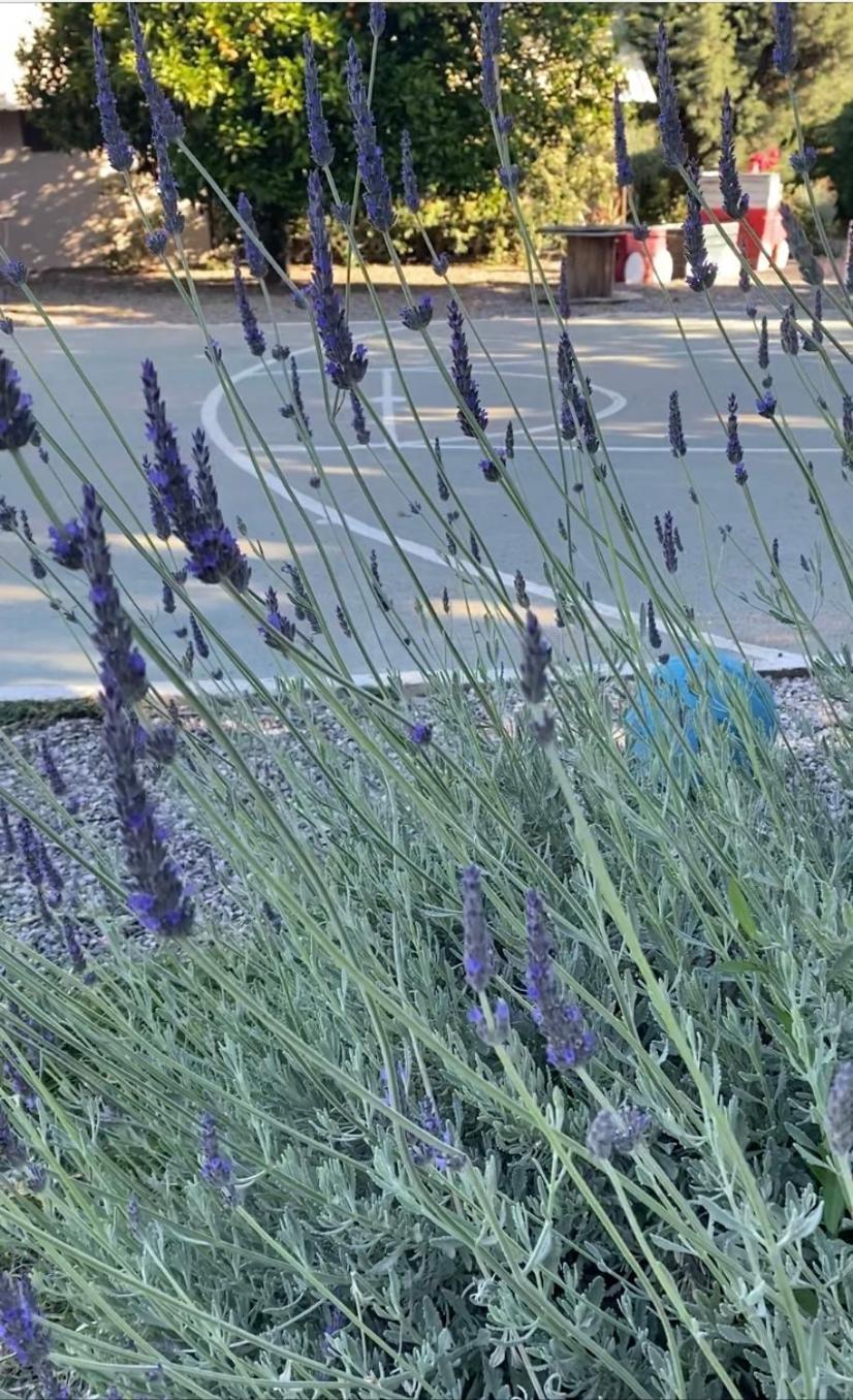 Lavender Farm House Nafpaktos Esterno foto